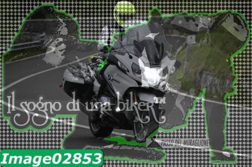 Image02853