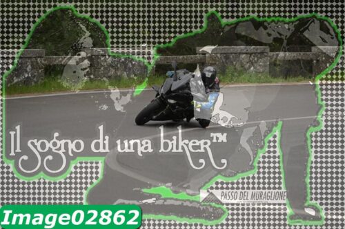 Image02862