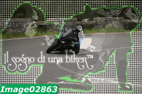 Image02863