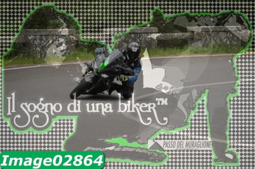 Image02864