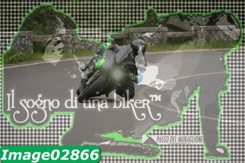 Image02866