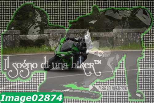Image02874