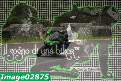 Image02875