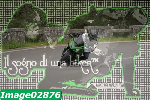 Image02876