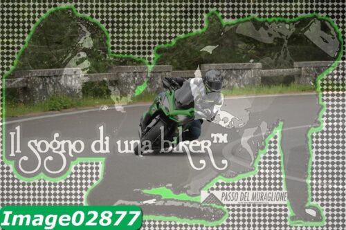 Image02877
