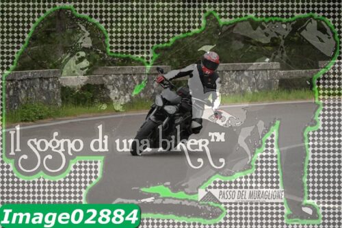 Image02884