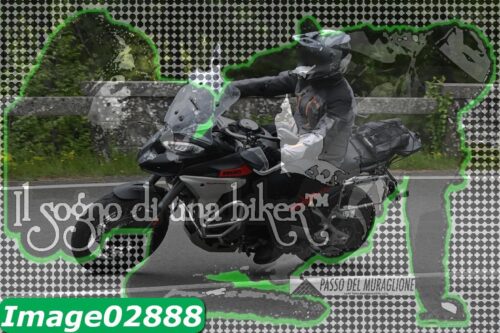 Image02888