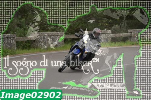 Image02902